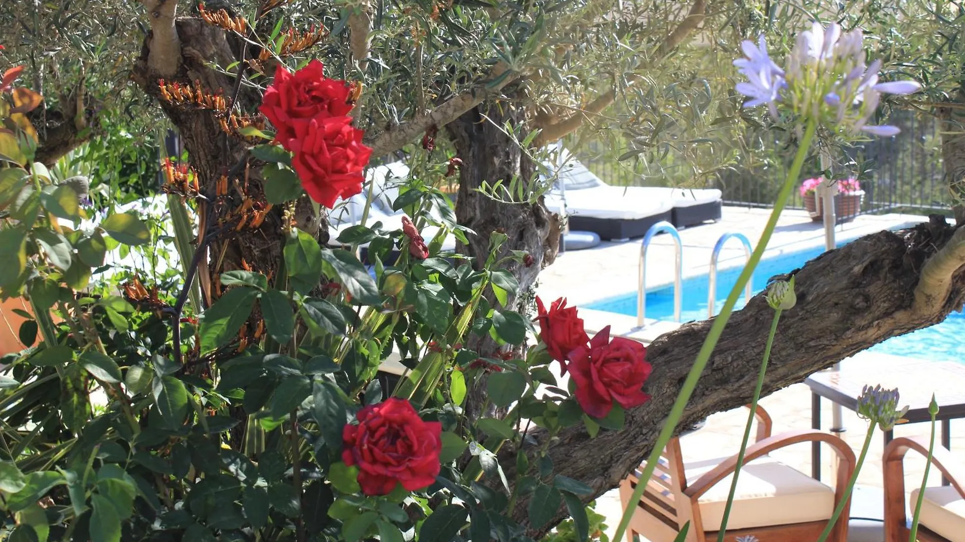 Alloggio per agriturismo Agroturismo Can Pardal Sant Miquel de Balansat