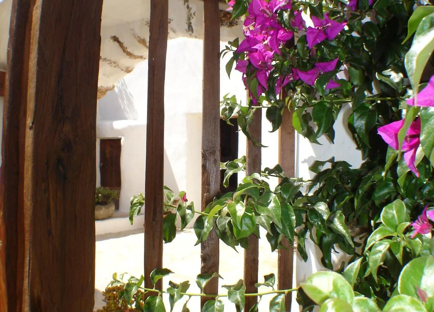 Agroturismo Can Pardal سانت ميكيل ذي بالان
