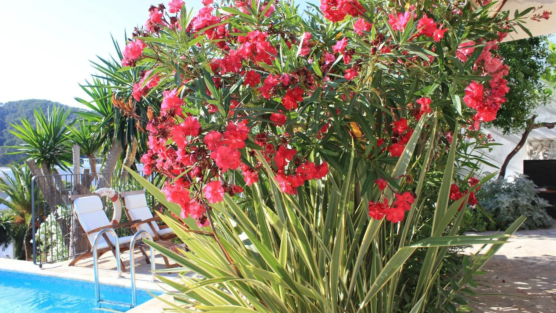 Agroturismo Can Pardal Guest House Sant Miquel De Balansat Farm stay