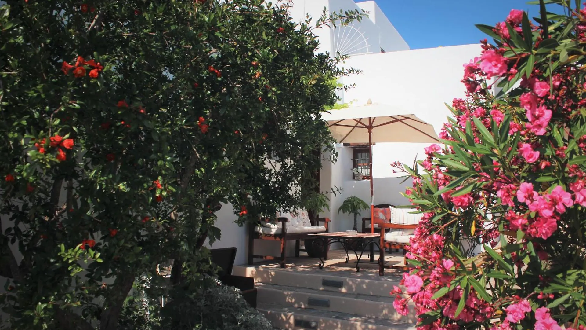 مزرعة للإقامة Agroturismo Can Pardal سانت ميكيل ذي بالان إسبانيا