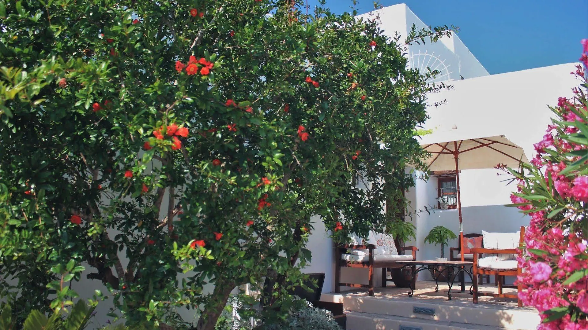 Agroturismo Can Pardal سانت ميكيل ذي بالان 0*,