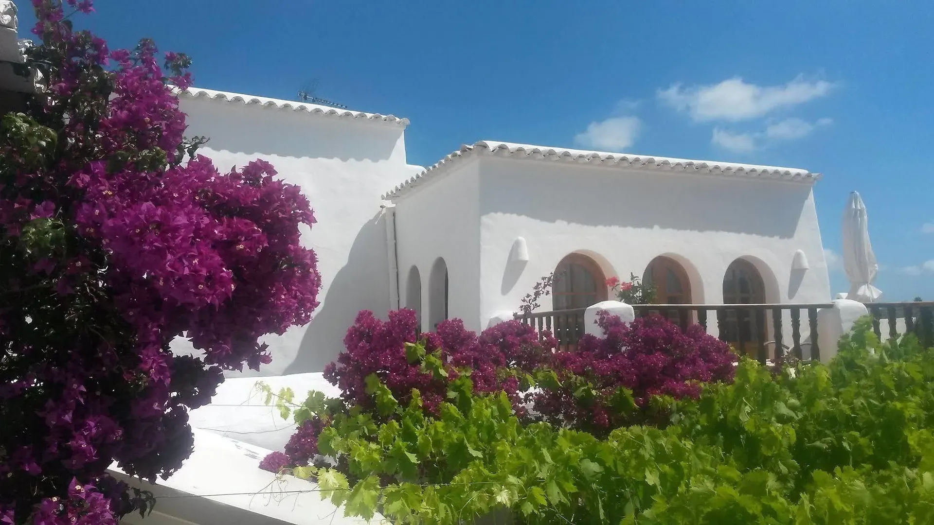 Agroturismo Can Pardal Guest House Sant Miquel De Balansat Farm stay