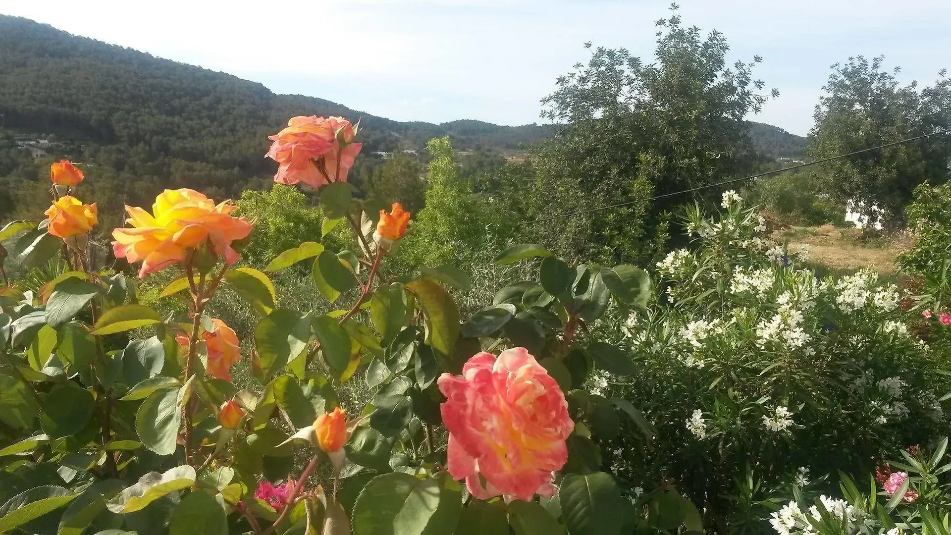 Farm stay Agroturismo Can Pardal Guest House Sant Miquel De Balansat Spain
